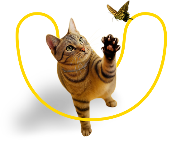 Let pets behave like ANIMALS because it's GOOD for their HEALTH